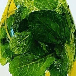 thecookie.vienna thecookie.vienna